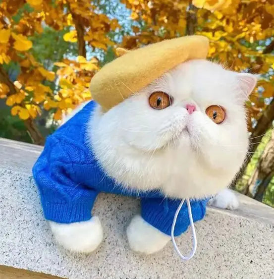 Pet Winter Wool Cap