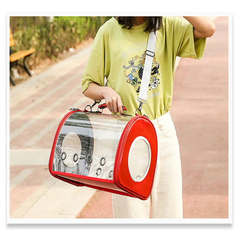Transparent Pet Carrier Bag